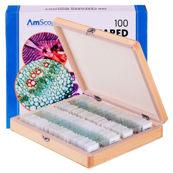 AmScope Microscope Slides