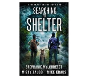 Search for Shelter